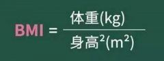 emc易倍官网科技