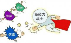 emc易倍官网科技