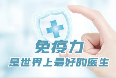 emc易倍官网科技