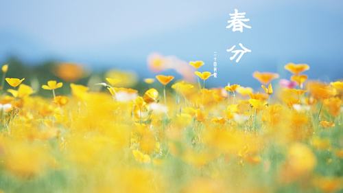 emc易倍官网科技