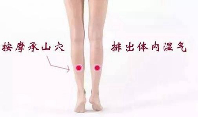 emc易倍官网科技