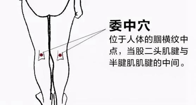 emc易倍官网科技