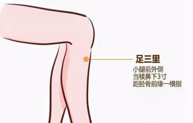 emc易倍官网科技